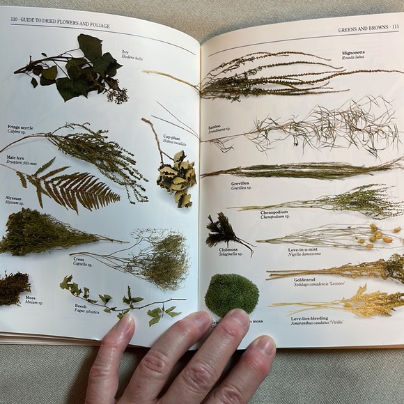 🌈2/$8  Flower Arranging - Picture 14 of 16